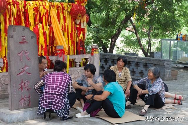 清明节祭祖小知识大全，清明节回乡祭祖