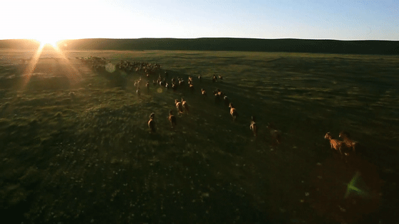 儿童科普纪录片，适合儿童看的科普片（9部孩子必看的顶级纪录片）