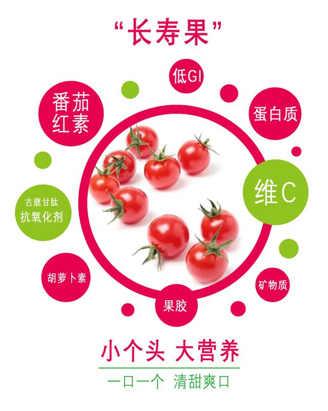 千禧果是转基因食品吗，千禧果是转基因的吗（小番茄是转基因的）