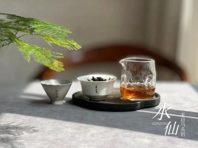 武夷岩茶之马头岩九龙窠肉桂，武夷岩茶入门