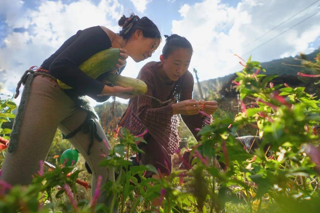 地猫（33岁女生在荒山独居6年）