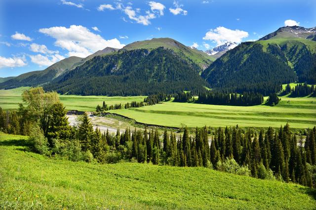 七八月份国内最佳旅游地方，七八月份国内最佳旅游地方溜娃（到这10个最佳旅游胜地）