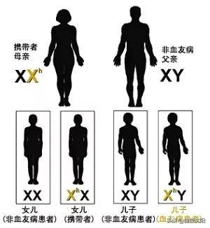 动车退票手续费新规定2022，2022年火车退票手续费新规定是什么（关爱血友病患儿）