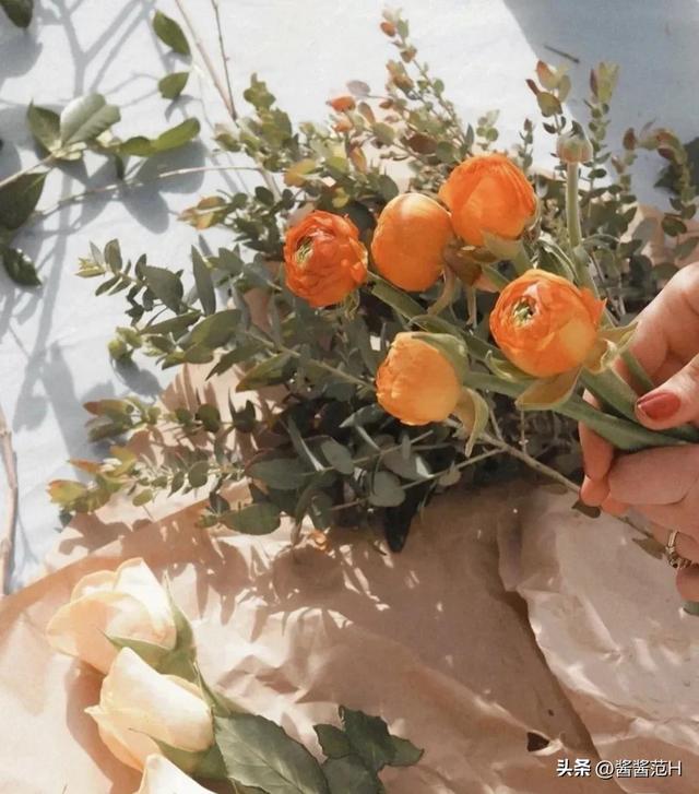 遗憾的句子说说心情，遗憾的句子说说心情句子（这些文案够遗憾吗）