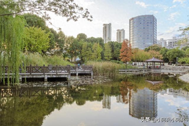 上海江浦公园：美丽的城市绿洲