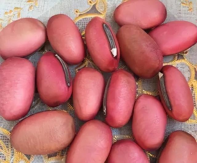 常见豆类包括大豆,菜豆,小豆,蚕豆,豌豆,绿豆,红豆,四棱豆,荷包豆,狗