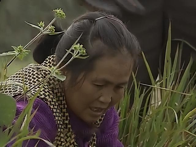 水沉香的功效 具体有哪些作用呢，水沉香的功效（四川古村发现两口怪井）