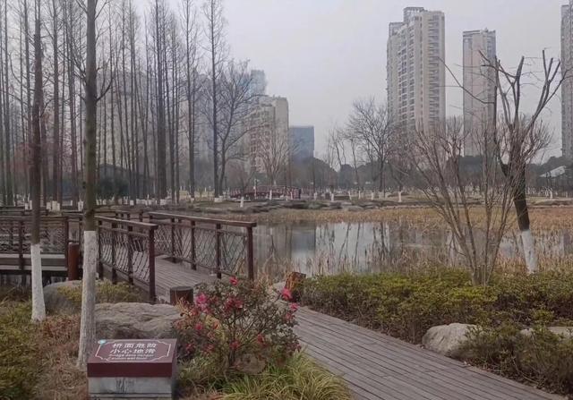 武汉周边哪里好玩，春节武汉周边自驾游哪里好玩（带孩子去武汉自驾游有哪些值得推荐的景点）