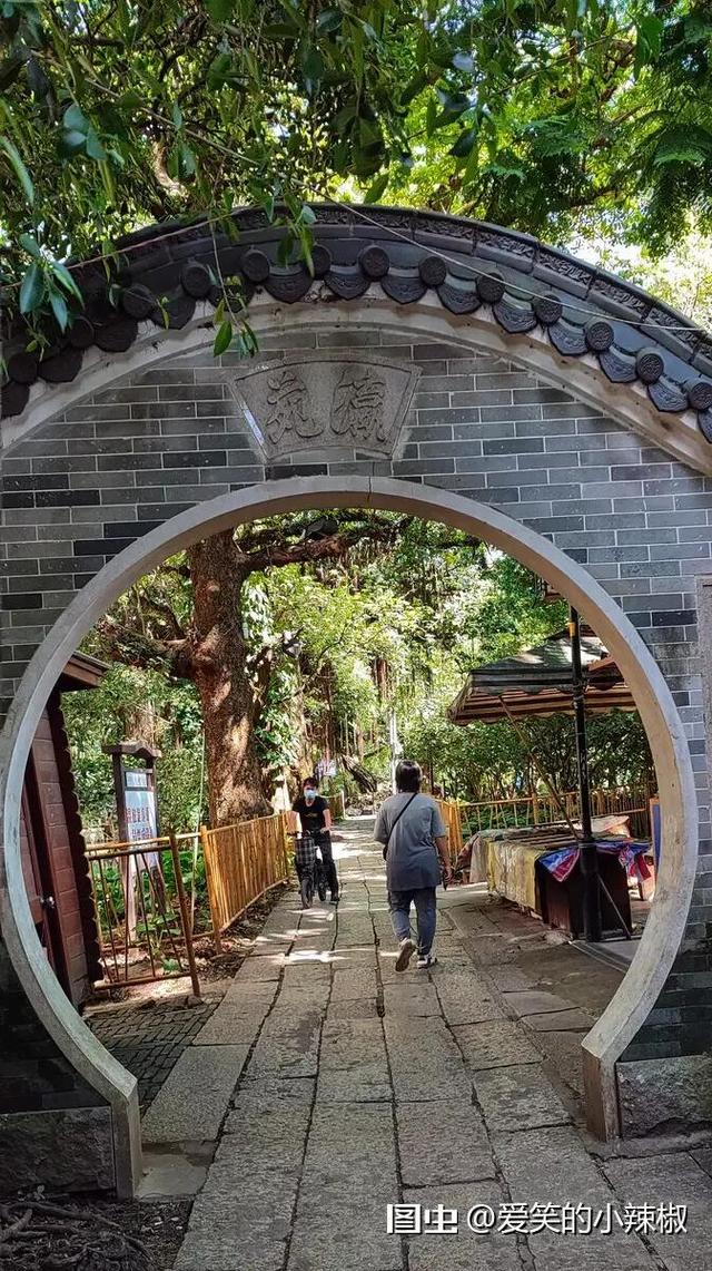 广州小洲村好玩吗，广州好玩的地方——小洲村篇（广州小洲村半日游）