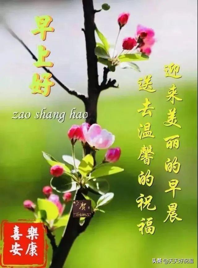 2022早安最火图片，现在哪个日本少女组合最红（2022最美微信群发早晨好图片大全）