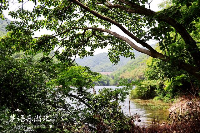 慈东是哪里，慈东哪里看涨潮（宁波北仑慈东村的三个水库）