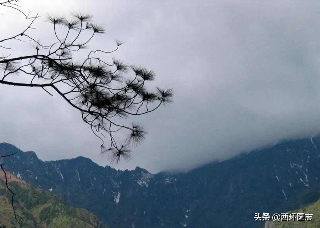 大理海拔多少米(高原最多只能待几年)