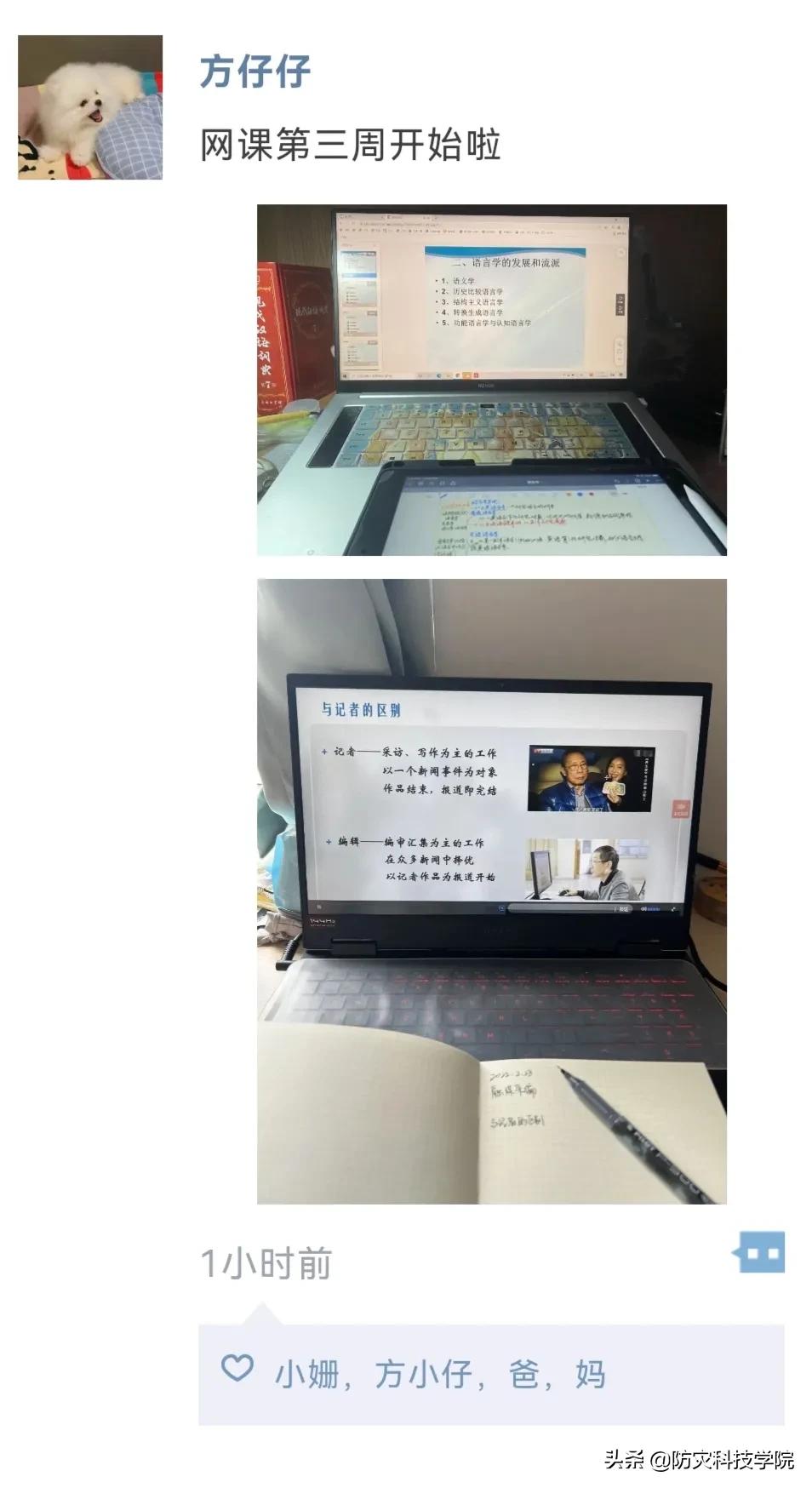 雨课堂不扫码直接进入算签到吗，雨课堂不扫码进去了签到算不算详细介绍（谁的DNA动了）