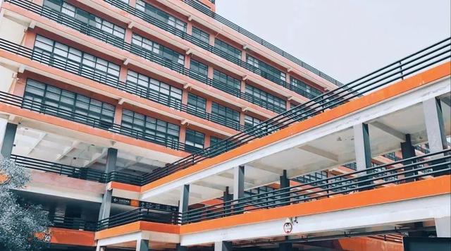 2022届美术生很难吗，2022届艺考生避坑指南你一定要看！（广东省今年有1万人连专科都上不了）