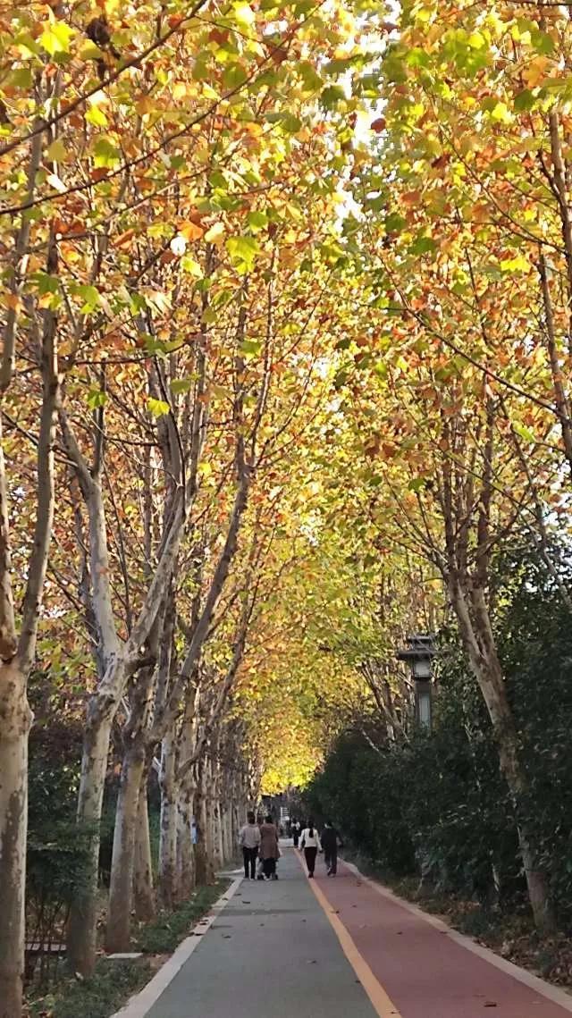 灵魂相似的人一旦相逢，灵魂相似的人一旦相逢是知心朋友（总有一天会在路上相逢）