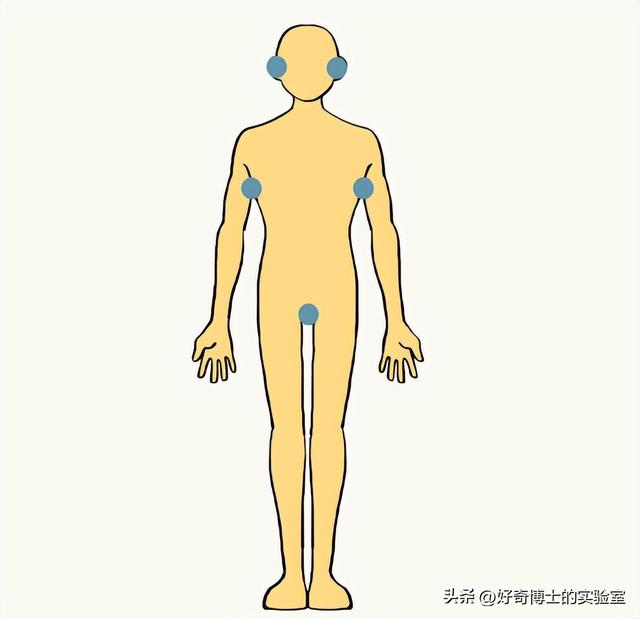 体香是怎么产生的，如何让身体散发自然体香（为什么女生闻起来都是香香的）