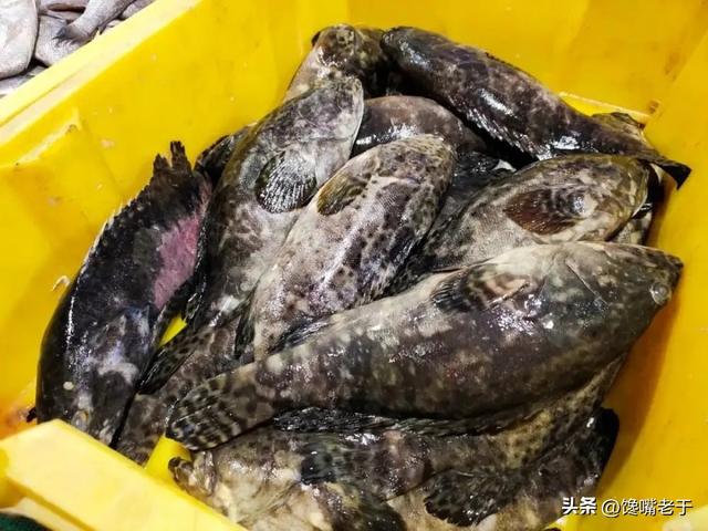 青岛9月份开海，开海时间（来青岛别只会吃大虾）