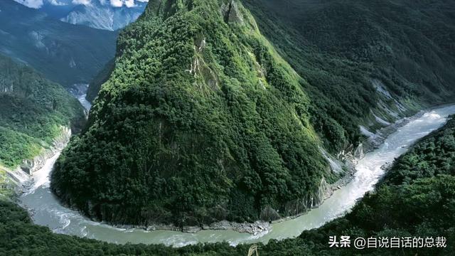 塔黄是什么植物，它被藏民预言为末日神山