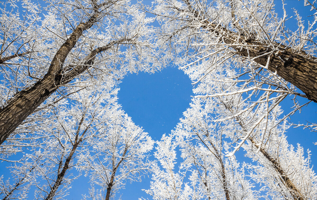 谁的眼泪在飞散文，悲伤的眼泪在飞（爱情的冬天）