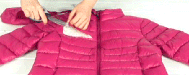 大雁和鹅的区别，大雁和鹅的区别是什么（鹅的真实面貌超出大家的想象）