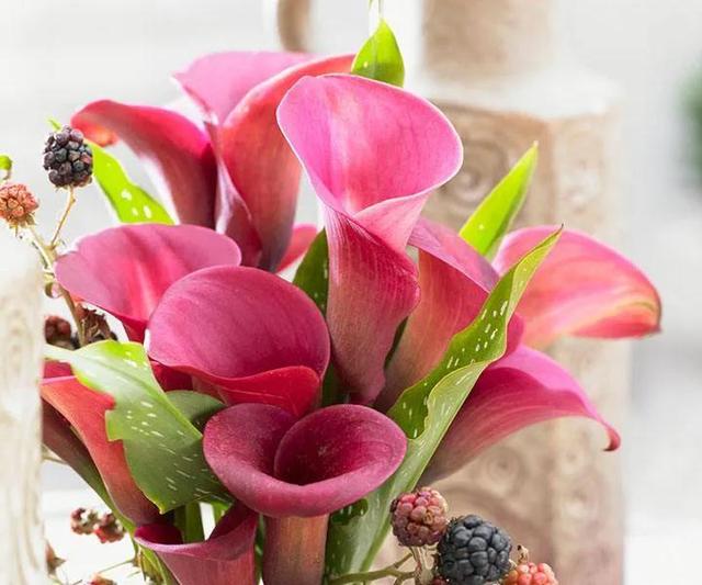 看望病人买什么鲜花，适合送病人的鲜花有哪几种（哪些花代表健康、平安、幸福）