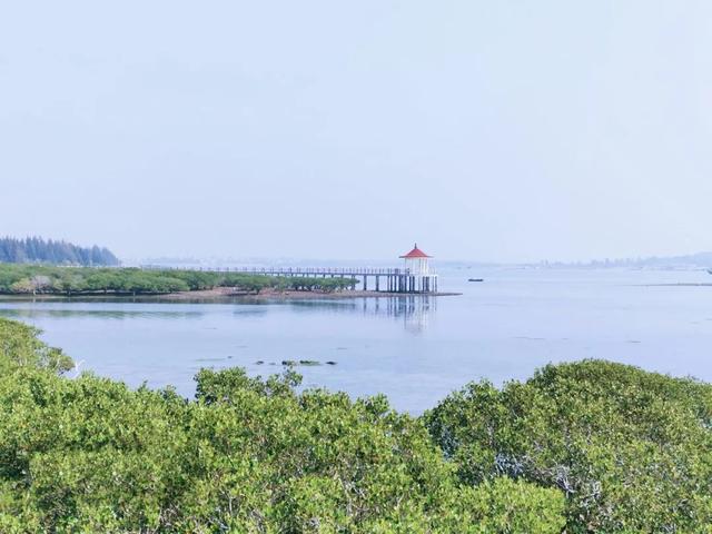 湛江市区一日游最好线路，蓝海之滨——超全湛江旅游攻略