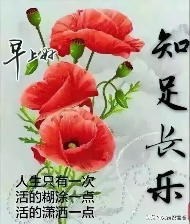 特别的祝福语，大年初一特别的祝福语（今日最新早上好表情大全）