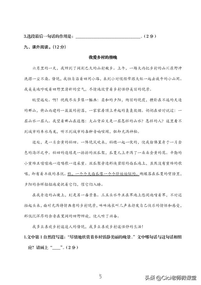 山坡上有什么把句子补充完整，山坡上有什么补充句子（统编语文五年级上册第一单元复习测试卷）