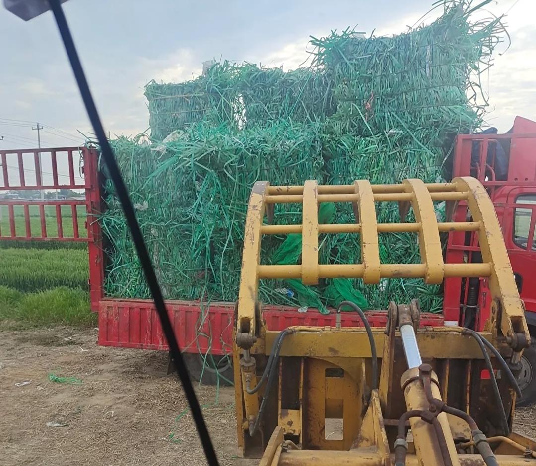 小型办厂项目(新手开什么加工厂好)