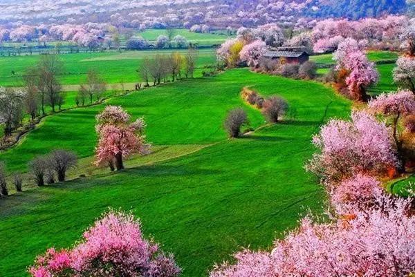 春天去哪里旅游好，这才是春天最值得去的20个地方（中国最美的30个地方）