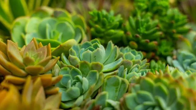 诚品书店大陆有几家，诚品书店网店（锦创书城：你非说它是一个书店）