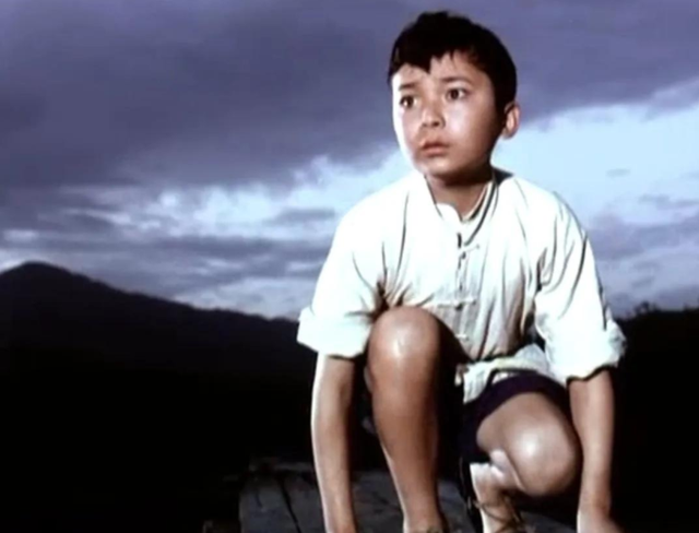 闪闪的红星潘冬子人物简介，娶普通人张玲亚为妻