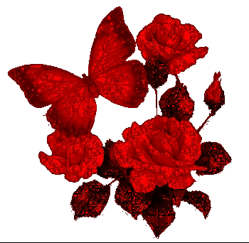 999朵玫瑰，送你999朵动态玫瑰花（999朵玫瑰邰正宵）