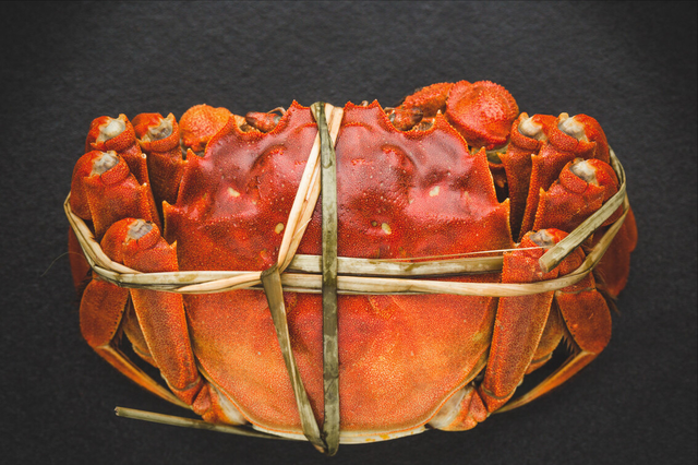 螃蟹的品种有哪些，什么品种的螃蟹（带你认识不同的螃蟹和吃法）