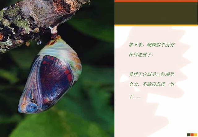 启示录是什么意思，电影启示录是讲什么（什么是人生启示录）