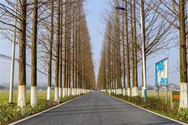 乡村道路限速多少，城市道路限速多少（乡道有两种，各自限速多少公里）