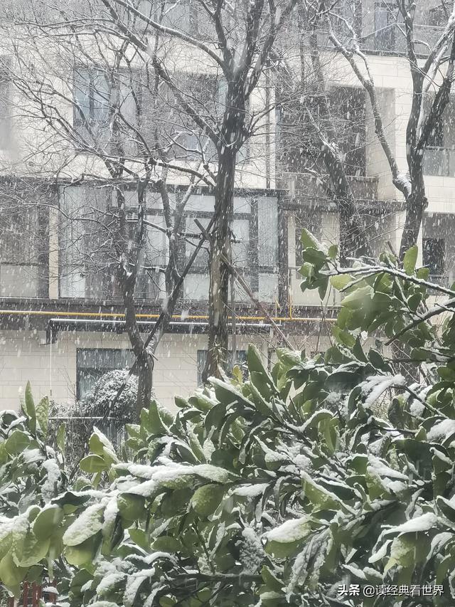 瀚海阑干百丈冰的瀚海指的是，瀚海阑干百丈冰的瀚海是指的什么（瀚海阑干百丈冰）