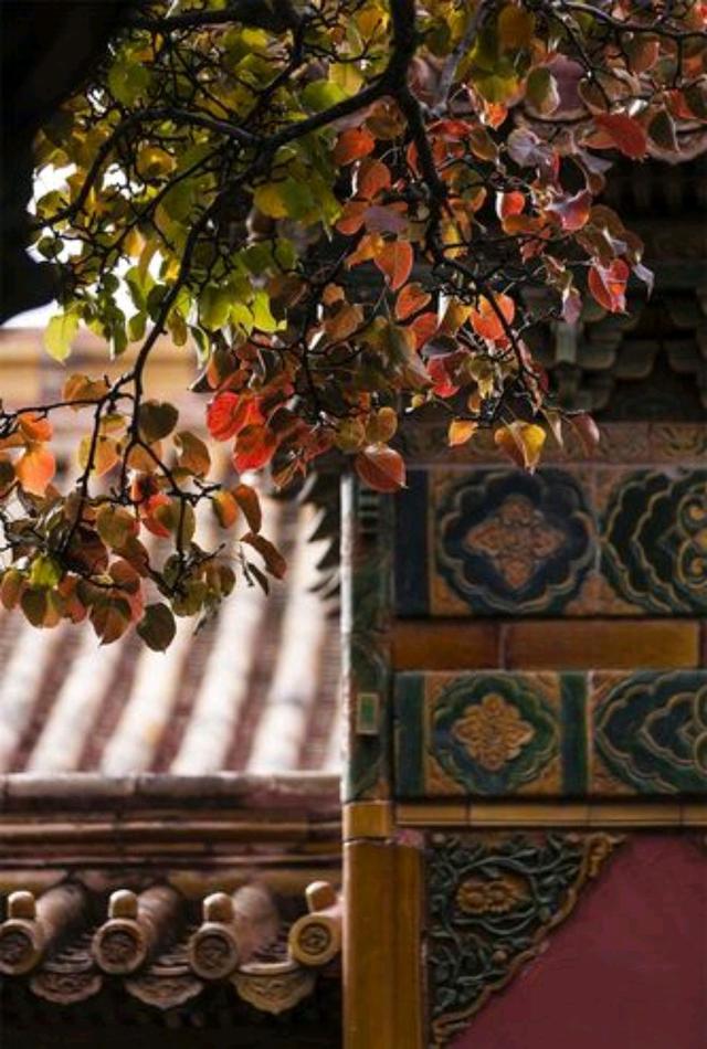 关于秋天的散文，关于秋天的散文精选（是一个适合回忆的季节）