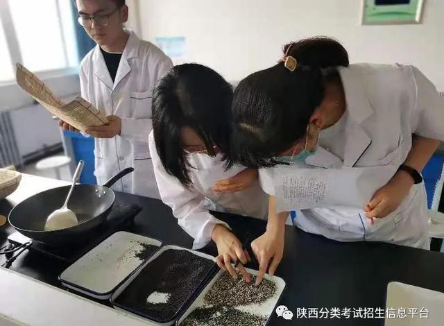 西安市所有五年制大专详细点，西安五年制大专有哪些（走进“省级示范院校”—西安医学高等专科学校）