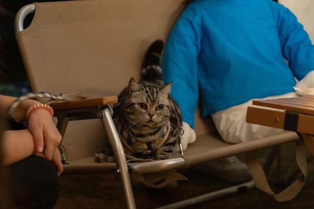 手机没有nfc功能怎么办，手机不支持NFC功能怎么办（编辑如何机智出行）