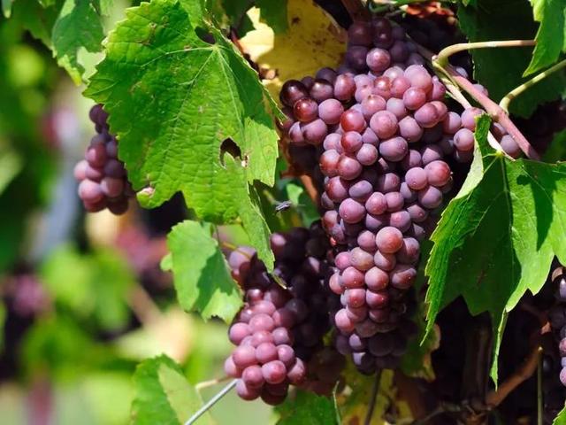 桂林神龙水世界，桂林旅游十大景点排行榜（广西•桂林风物）