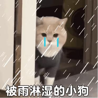 萌宠表情包，微信头像，萌宠表情包（萌宠表情包：我的爱是垃圾吗）