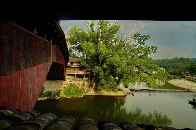 泰顺旅游必去景点介绍，泰顺游玩景点（盛夏到温州泰顺来避暑）