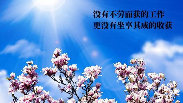 喜乐安康和平安喜乐哪个好，平安喜乐另一种说法（​星期三早上好,平安喜乐,福满安康）