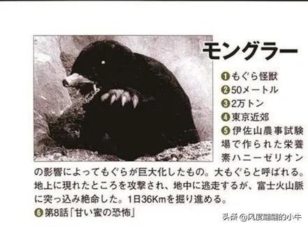 手q是什么意思，手Q是什么意思（奥特Q怪兽图鉴）