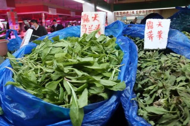 南京春天吃的野菜，比王宝钏更懂野菜的，是南京人