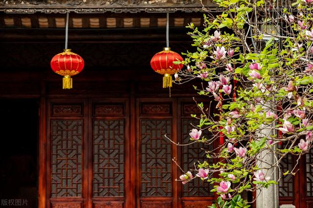 冬天种什么花好养活，冬天什么花好养活北方室内（冻不死的花草清单）