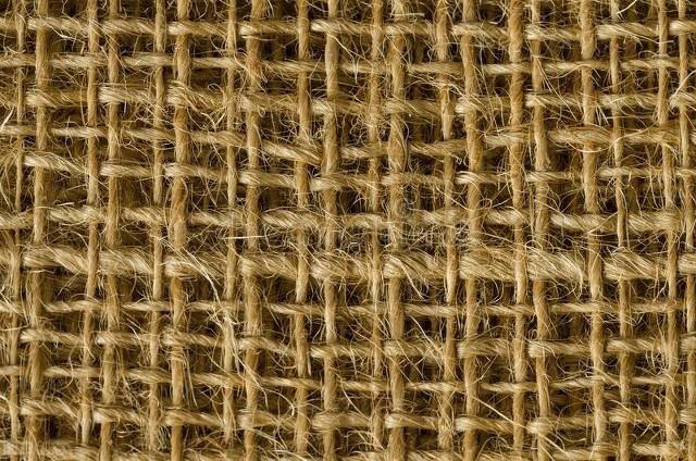 植物纤维是什么，什么面料是植物纤维（可供编织纤维植物）