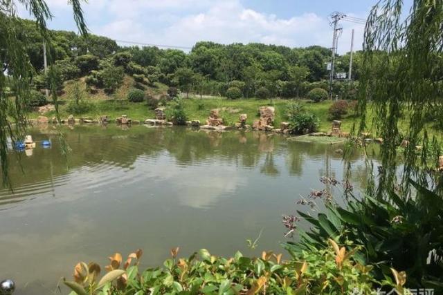 联怡枇杷生态园，上海农家乐包吃住推荐青浦（上海青浦外青松公路特色场地）