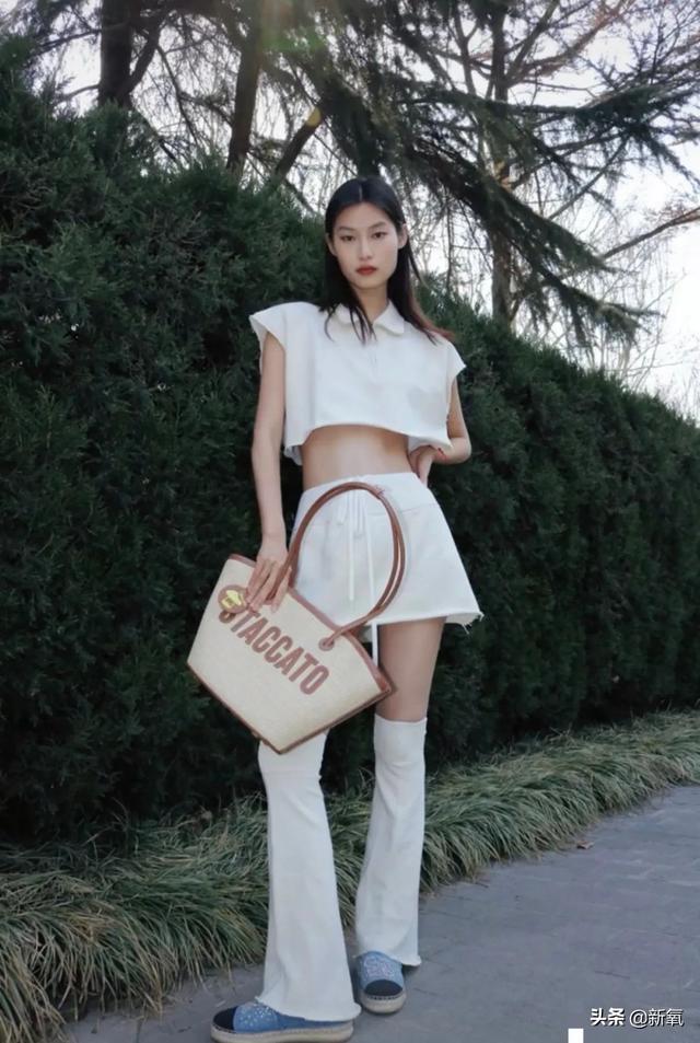 扑棱蛾子是什么梗，扑棱蛾子是什么梗贝斯（听说他换头是靠p的）